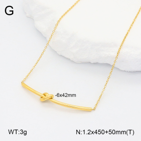 2N2005606bhva-201  Stainless Steel Necklace