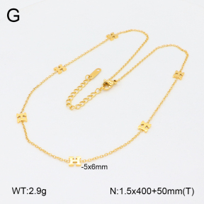 2N2005610bhva-201  Stainless Steel Necklace