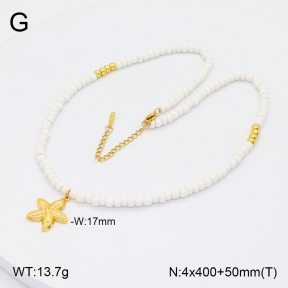 2N4003994vbpb-765  Stainless Steel Necklace