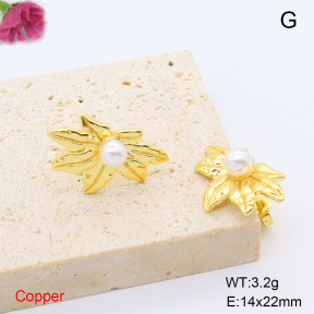 F6E301963baka-L017  Fashion Copper Earrings