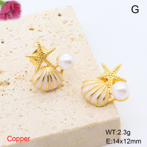 F6E301973ablb-L017  Fashion Copper Earrings