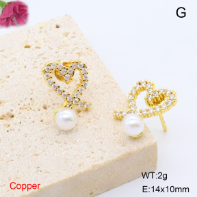 F6E301979ablb-L017  Fashion Copper Earrings