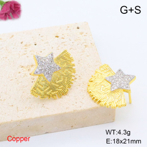 F6E405503bbov-L017  Fashion Copper Earrings