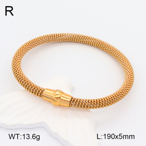 2B2003949ahlv-722  Stainless Steel Bracelet