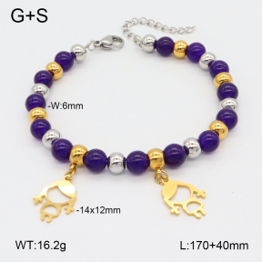 2B4004693bbov-350  Stainless Steel Bracelet