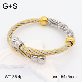 2BA201929biib-722  Stainless Steel Bangle