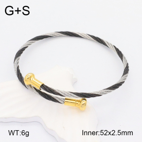 2BA201930bhia-722  Stainless Steel Bangle