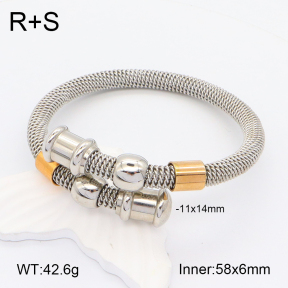 2BA201931aivb-722  Stainless Steel Bangle