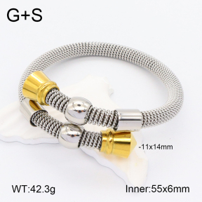 2BA201933aivb-722  Stainless Steel Bangle