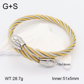 2BA201934ahjb-722  Stainless Steel Bangle