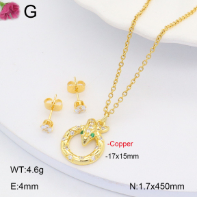 F2S005765bbov-J135  Fashion Copper Sets