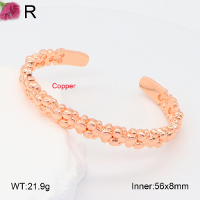 TZ2000479vhov-J82  Fashion Copper Bear Bangles