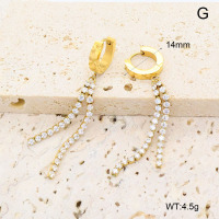GEE002642bhia-066  316 Pin 18K PVD Zircon,Handmade Polished  Stainless Steel Earrings  BC25060174E-WT  nostock