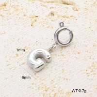 GEP000062vajj-066  Handmade Polished  Stainless Steel Pendant  BC24070889P-S-G  nostock