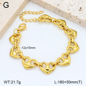2B2003950vhhl-641  Stainless Steel Bracelet