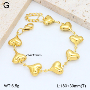 2B2003953abol-641  Stainless Steel Bracelet