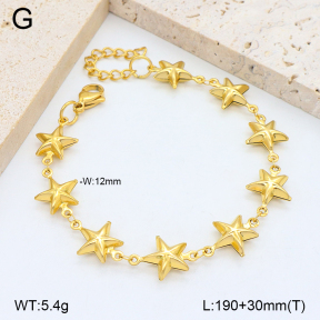 2B2003955bbov-641  Stainless Steel Bracelet