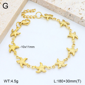 2B2003961abol-641  Stainless Steel Bracelet