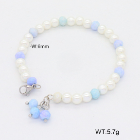 2B3003831bbov-377  Stainless Steel Bracelet