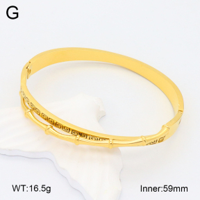 2BA201946ahlv-617  Stainless Steel Bangle