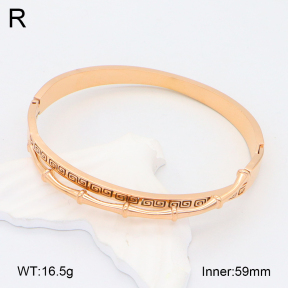 2BA201947ahlv-617  Stainless Steel Bangle