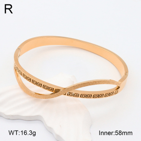 2BA201950ahjb-617  Stainless Steel Bangle