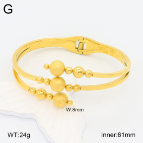 2BA201953bhia-669  Stainless Steel Bangle