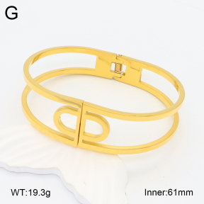 2BA201956vhhl-669  Stainless Steel Bangle