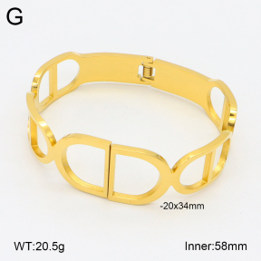 2BA201958vhhl-669  Stainless Steel Bangle