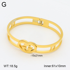 2BA201960vhhl-669  Stainless Steel Bangle