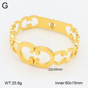 2BA201962vhhl-669  Stainless Steel Bangle