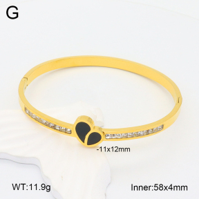 2BA402114ahlv-617  Stainless Steel Bangle