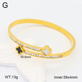 2BA402120ahlv-617  Stainless Steel Bangle