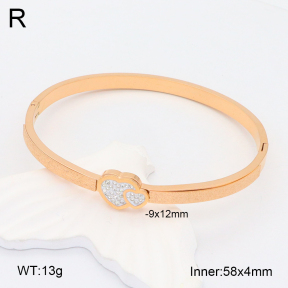 2BA402124vhkb-617  Stainless Steel Bangle
