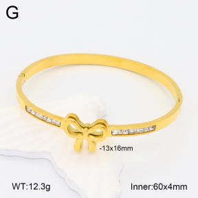 2BA402126ahlv-617  Stainless Steel Bangle