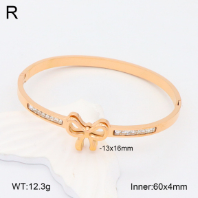 2BA402127ahlv-617  Stainless Steel Bangle