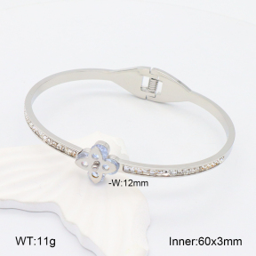 2BA402128ahlv-617  Stainless Steel Bangle