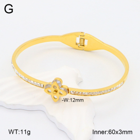 2BA402129vhmv-617  Stainless Steel Bangle