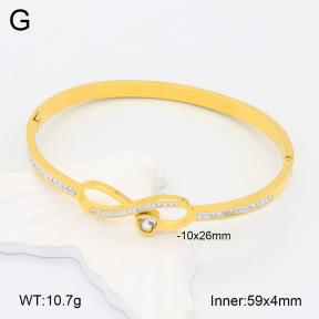 2BA402132ahlv-617  Stainless Steel Bangle
