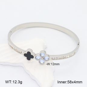 2BA402134vhkb-617  Stainless Steel Bangle
