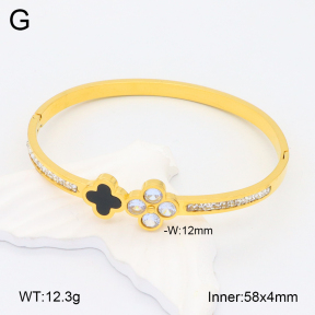 2BA402135ahlv-617  Stainless Steel Bangle