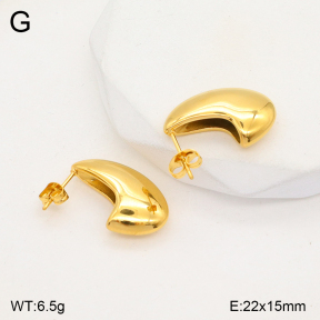 2E2005748bbml-436  Stainless Steel Earrings