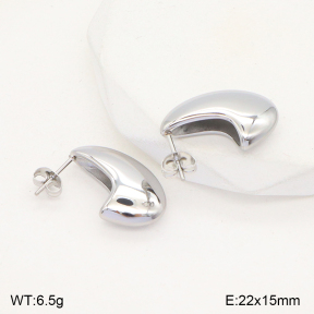 2E2005749vbll-436  Stainless Steel Earrings