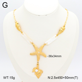 2N3002496vhkb-669  Stainless Steel Necklace