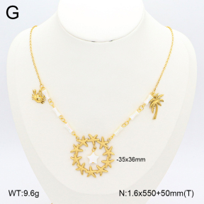 2N3002497bhjl-669  Stainless Steel Necklace