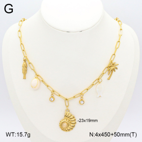 2N3002499bhjl-669  Stainless Steel Necklace