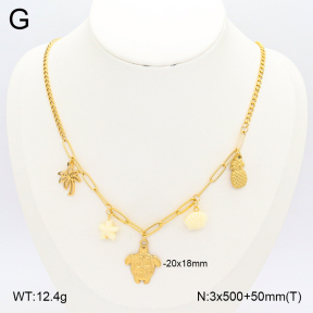 2N3002500ahjb-669  Stainless Steel Necklace