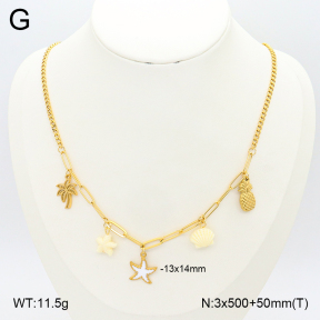 2N3002501ahjb-669  Stainless Steel Necklace