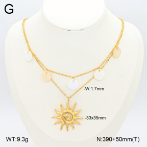 2N3002502bhia-669  Stainless Steel Necklace