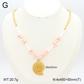 2N3002503bhjl-669  Stainless Steel Necklace